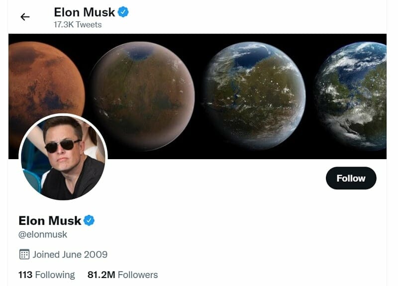 Does Elon Musk Invest In NFTs in 2022